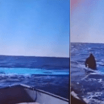 Fundoset një anije në Mesdhe: 116 të vdekur, një i mbijetuar