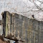 Kurti: Sulmi ndaj Ibër-Lepencit synoi zhvendosjen e krizës nga Beogradi në veriun e Kosovës