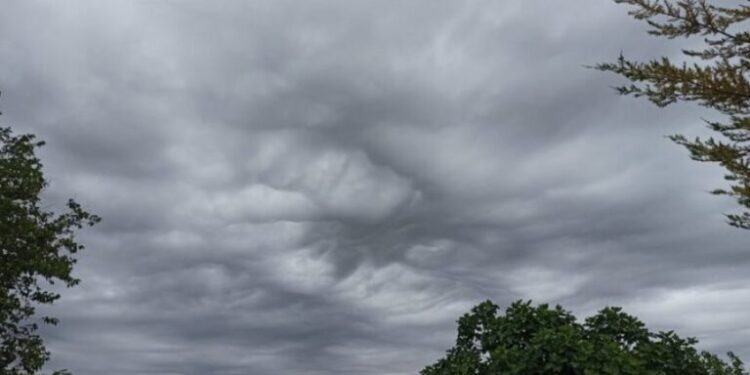 parashikimi-i-motit.jpg1_-750x375