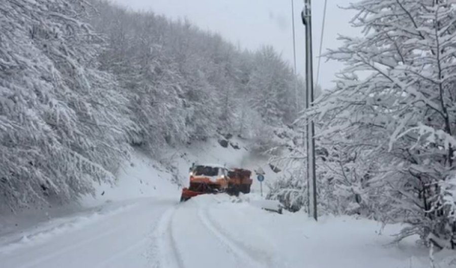 auto_Capture1775289963