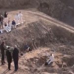 livadhet-e-fasulesss (1)